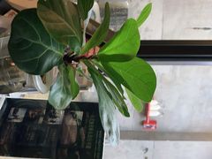 -脉冲品质汽美·贴膜(闵行店)