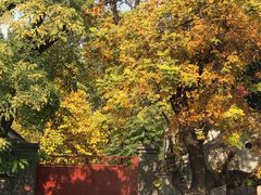 -北门涮肉·炭火铜锅涮肉(什刹海店)