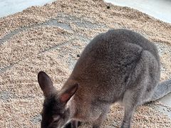 -海合安武汉极地海洋公园