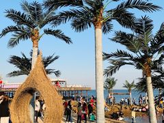 -北戴河碧螺塔海上酒吧公园