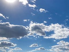 -李先生牛肉面大王(东单店)