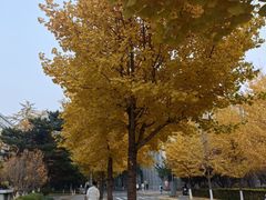 -东北大学(南湖校区)