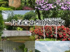 -云溪植物园