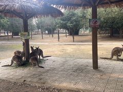 -宁波野生动物园
