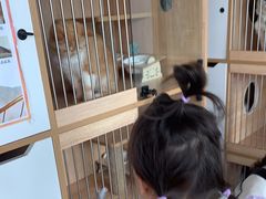 -泰国佛·塔罗·泰牌狐仙古曼