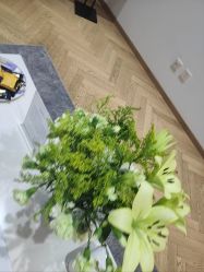-HEYAN荷妍专业脱毛连锁机构