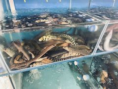 -板桥海鲜广场(文明东店)