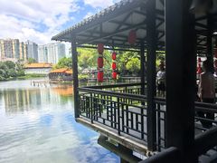 -侨美·唐荔园·40年地道粤菜