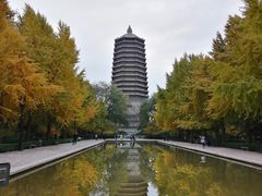 -玲珑塔公园