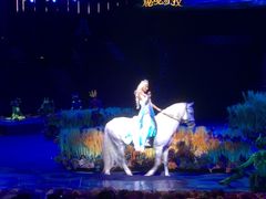 -珠海横琴长隆《卡卡虎奇遇记》