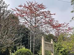 -晓港公园