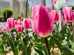 -廊坊文化艺术中心