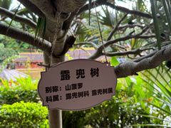 -西双版纳总佛寺