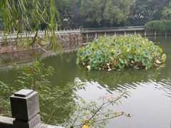 -武汉大学-樱园