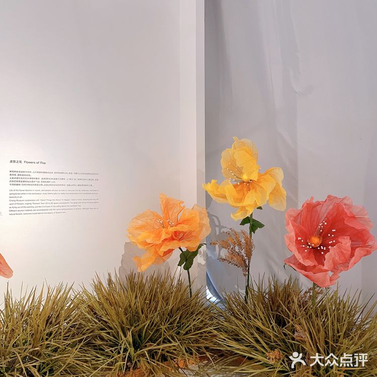 511看展 | 仧美术馆 走进安迪沃霍尔的艺术世界