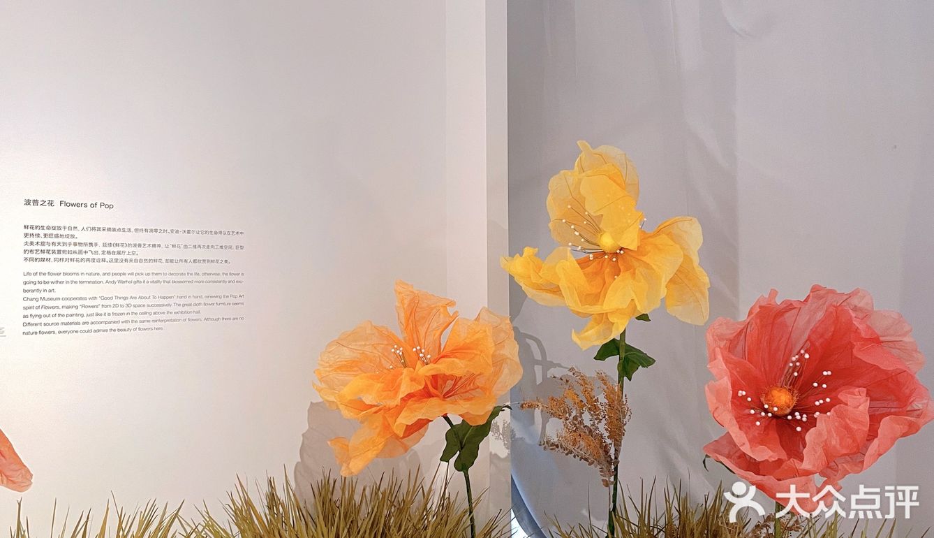 511看展 | 仧美术馆 走进安迪沃霍尔的艺术世界