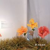 511看展 | 仧美术馆 走进安迪沃霍尔的艺术世界