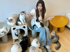 -有喵·猫咖·狗咖·40+猫狗有小奶狗(岗厦店)