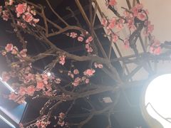 -老板恋上鱼(振华商厦店)