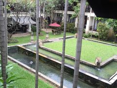 -清迈菩提塞雷纳