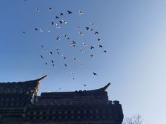 -荣国府