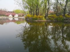 -石家庄市植物园