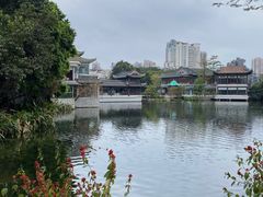 -荔湾湖公园