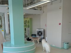 -怪兽屋·羊驼·猫咖·狗咖(俊华广场店)