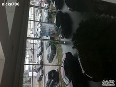 -上海宝信宝马4S店