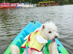 -西安汉城湖景区