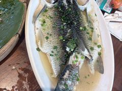 特色蒸吊水鲩鱼-园林美食城·本土农家菜(杨和镇店)