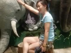 -济州岛泰迪熊博物馆