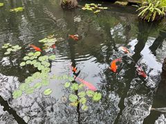 -广州兰圃