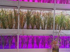 -中国天府农业博览园