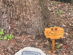 -徐家汇源景区-衡山公园