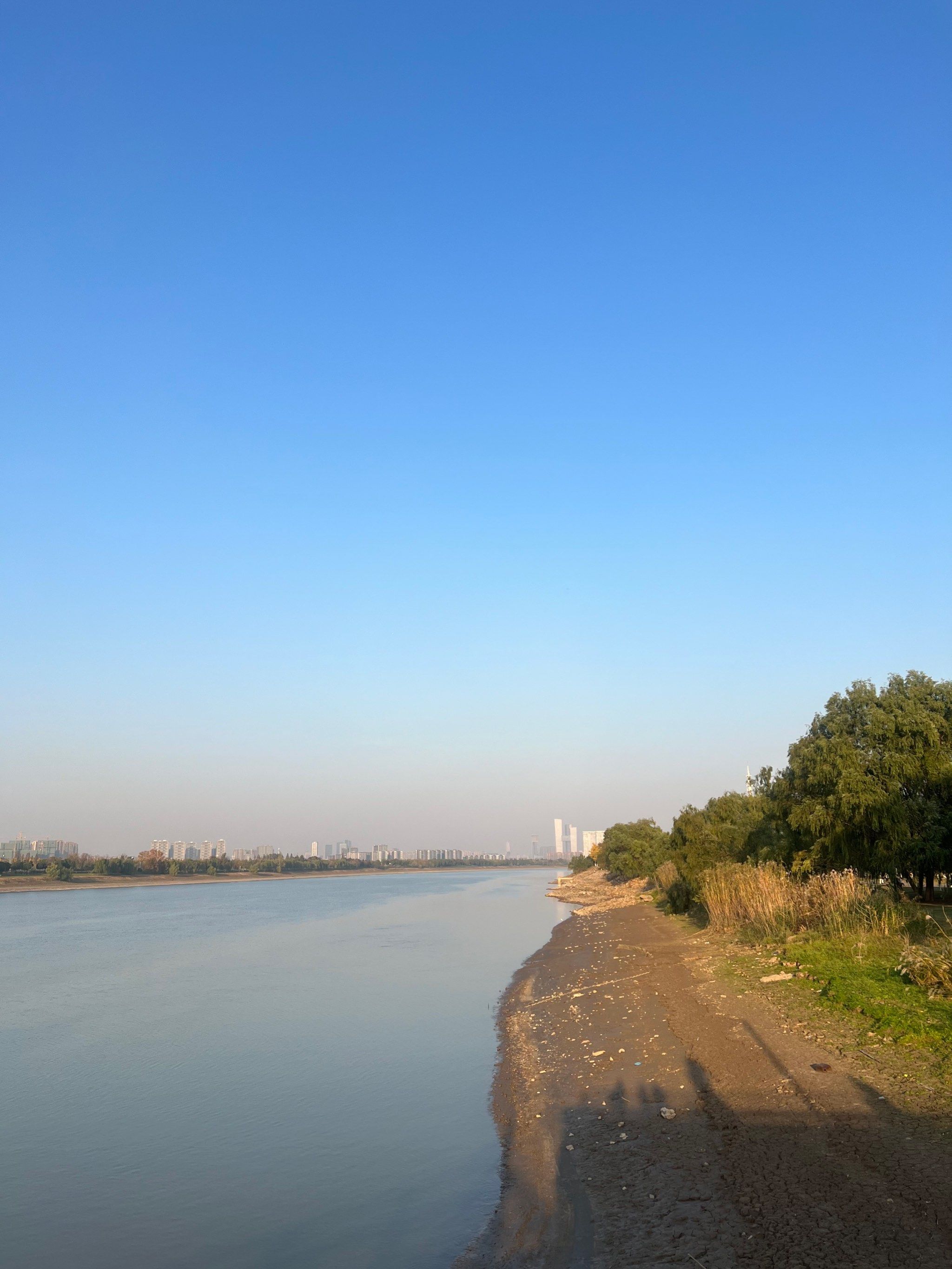 南京鱼嘴湿地生态
