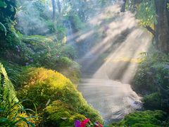 -Chom Cafe and Restaurant