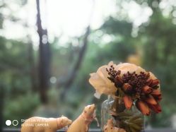 点击看大图 -金芙美月子中心(财富别墅店)