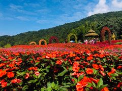 -广州市石门国家森林公园