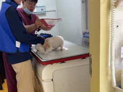 -美联众合动物医院·24h转诊中心