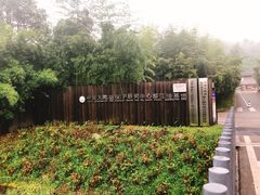 -都江堰中华大熊猫苑