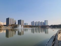 -南翔镇银翔湖公园