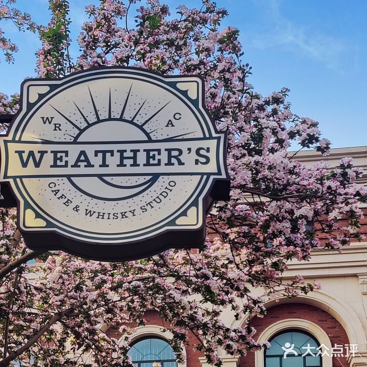 天津新店|春来无事，五大道赏花，喝咖啡