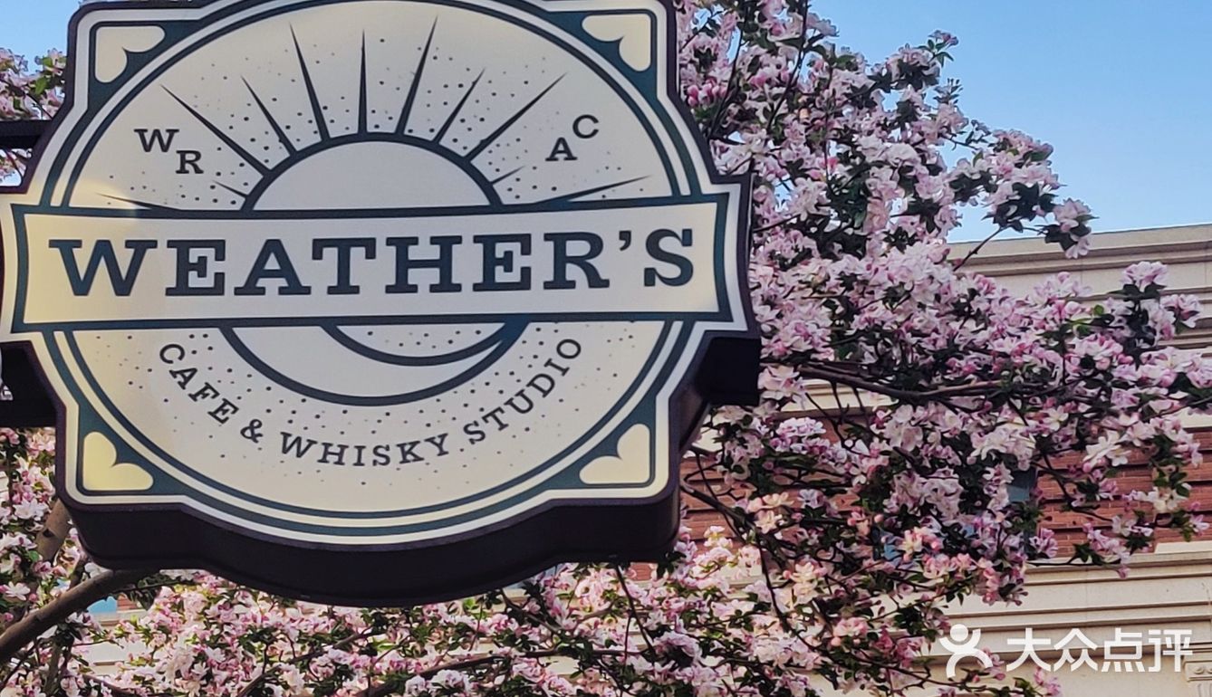 天津新店|春来无事，五大道赏花，喝咖啡