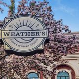 天津新店|春来无事，五大道赏花，喝咖啡