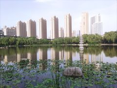 -木塔寺遗址生态公园