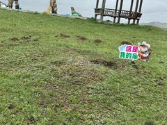 -黄河九曲第一湾