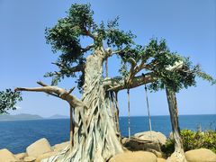 -海南分界洲岛旅游区