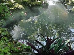 -Chom Cafe and Restaurant