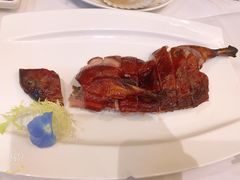 -沪碟·精菜坊(闵行店)